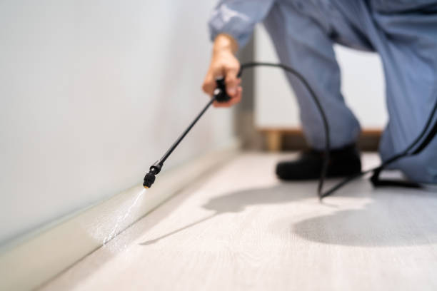 Licensed Cockroach Control service in Fulton County County, IL - Nex Pest Control