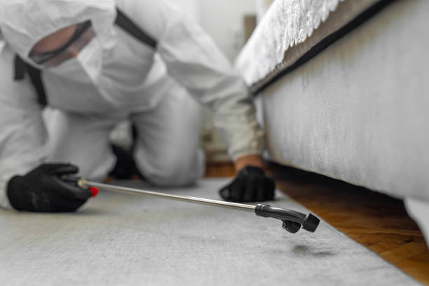 Professional Cockroach Control technician working in Fulton County County, IL